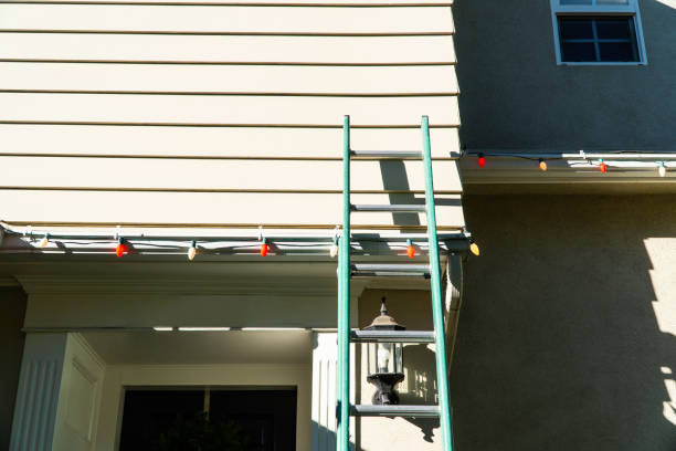 Best Brick Veneer Siding  in Stroville, CA