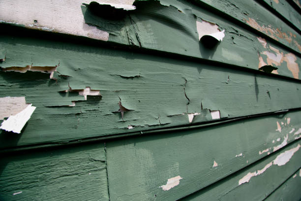 Best Custom Siding Design  in Stroville, CA