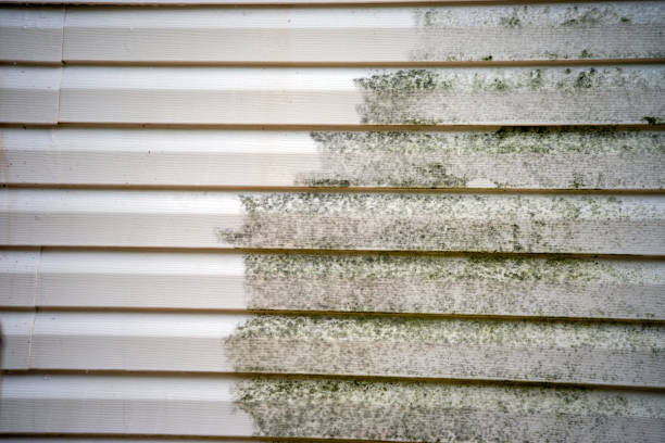 Best Stucco Siding  in Stroville, CA