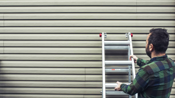 Best Siding Repair  in Stroville, CA