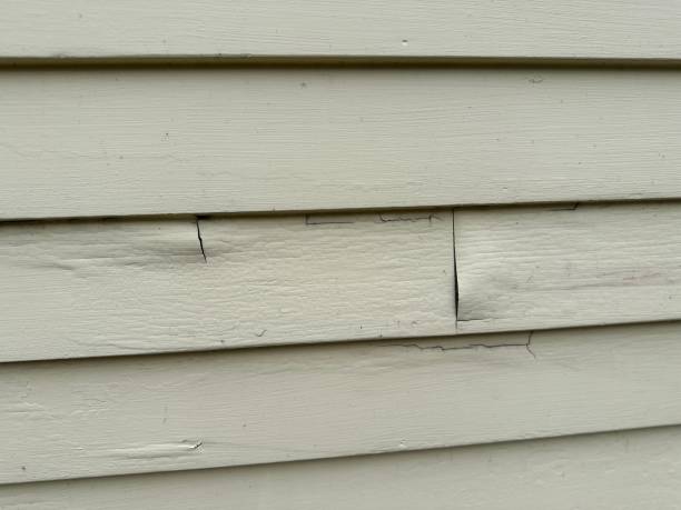Professional Siding Installation & Repair in Castroville, CA